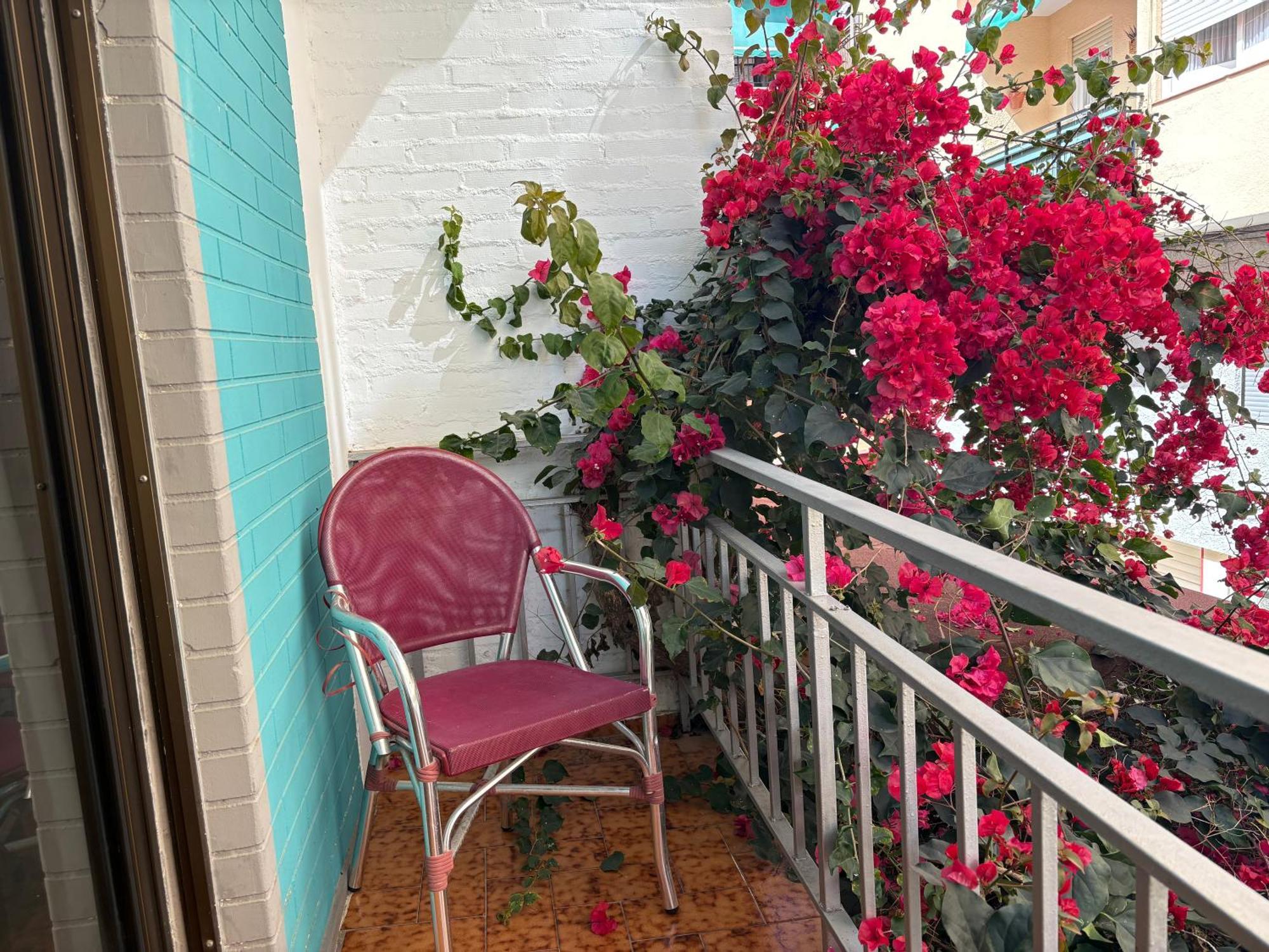 Rocamar Guest house